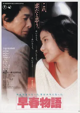 善良的嫂子电影海报