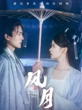 嫂子当家剧集海报